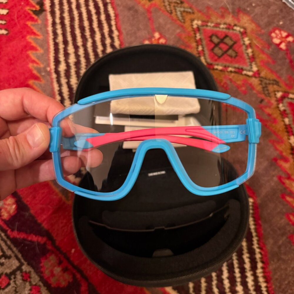 Smith Wildcat Glasses